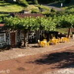 Café fajã dos Cubres