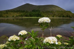 Lagoa Rasa - Sao Miguel