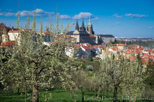 Pražský hrad z jarního Petřína