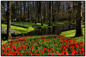 Zahrada Keukenhof
