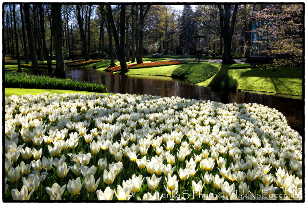 Zahrada Keukenhof