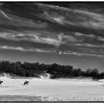 Loonse en Drunense Duinen park