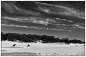 Loonse en Drunense Duinen park