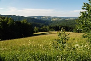 Pahorkatiny Bílých Karpat