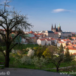 Hradčany I