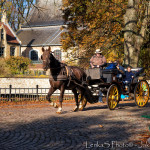 Romantika v Bruggách