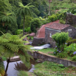 Sao Miguel - zahrady