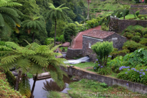 Sao Miguel - zahrady