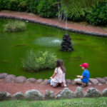 Sao Miguel - zahrady