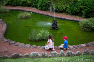 Sao Miguel - zahrady