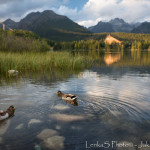 Štrbské pleso večer II