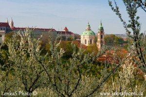 Kostel Sv.Mikuláše
