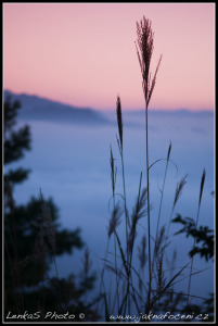 Taiwan - cesta na Hehuanshan