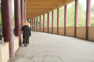 Taiwanský mnich před úpravou v počítači