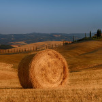 Panorama Val d'Orcia, Toskánsko